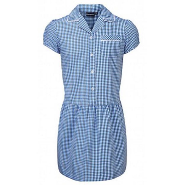 Ashley Blue White Checked Summer Dress