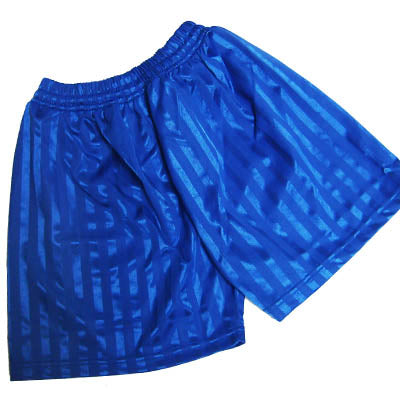 Royal Blue Shadow Stripe Shorts